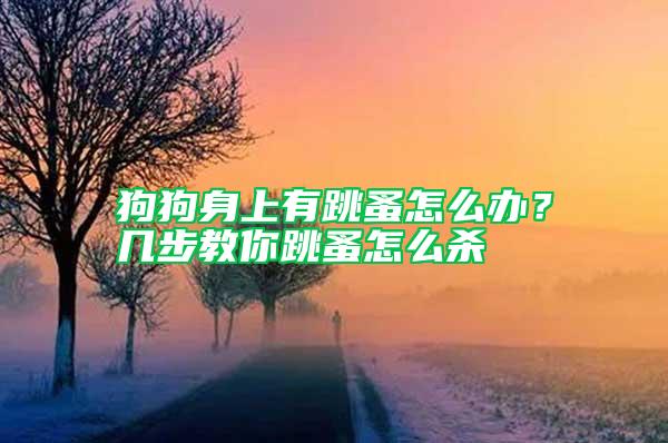 狗狗身上有跳蚤怎么辦？幾步教你跳蚤怎么殺