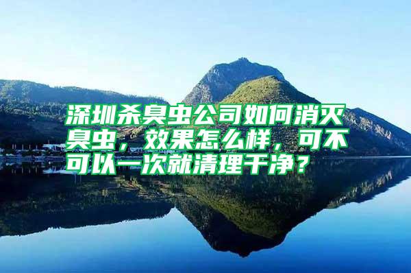 深圳殺臭蟲公司如何消滅臭蟲，效果怎么樣，可不可以一次就清理干凈？