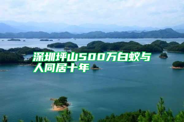 深圳坪山500萬白蟻與人同居十年