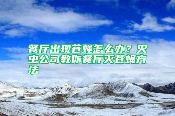 餐廳出現(xiàn)蒼蠅怎么辦？滅蟲公司教你餐廳滅蒼蠅方法