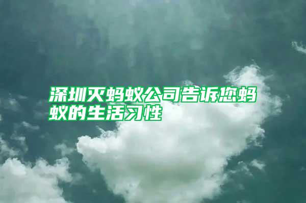 深圳滅螞蟻公司告訴您螞蟻的生活習性