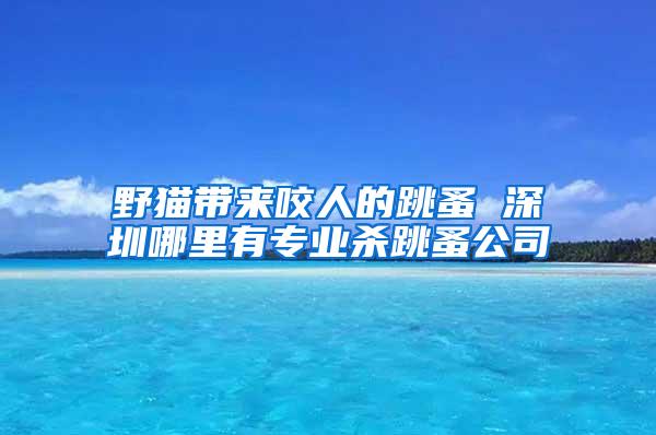 野貓帶來(lái)咬人的跳蚤 深圳哪里有專業(yè)殺跳蚤公司