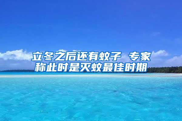 立冬之后還有蚊子 專家稱此時是滅蚊最佳時期