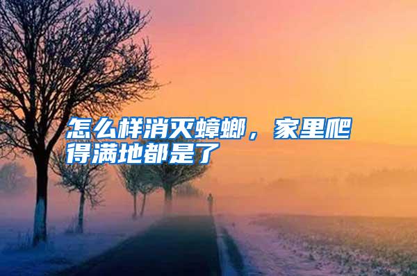 怎么樣消滅蟑螂，家里爬得滿地都是了