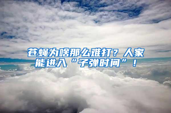 蒼蠅為啥那么難打？人家能進(jìn)入“子彈時間”！