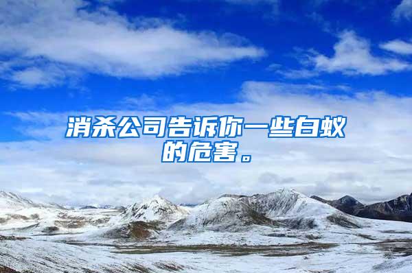 消殺公司告訴你一些白蟻的危害。