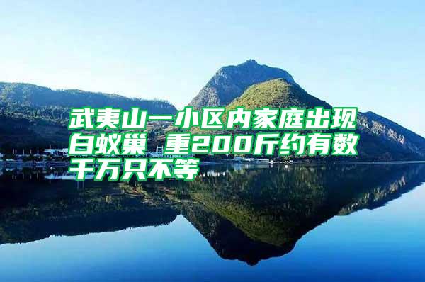 武夷山一小區內家庭出現白蟻巢 重200斤約有數千萬只不等