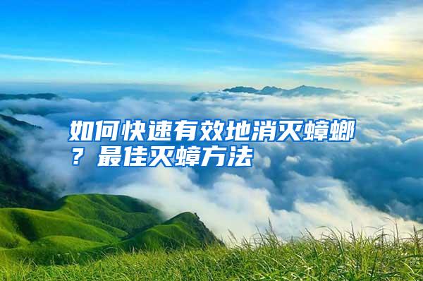 如何快速有效地消滅蟑螂？最佳滅蟑方法