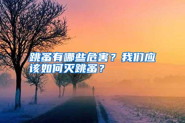 跳蚤有哪些危害？我們應(yīng)該如何滅跳蚤？