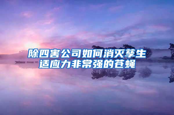 除四害公司如何消滅孳生適應力非常強的蒼蠅