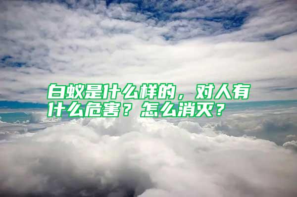 白蟻是什么樣的，對人有什么危害？怎么消滅？