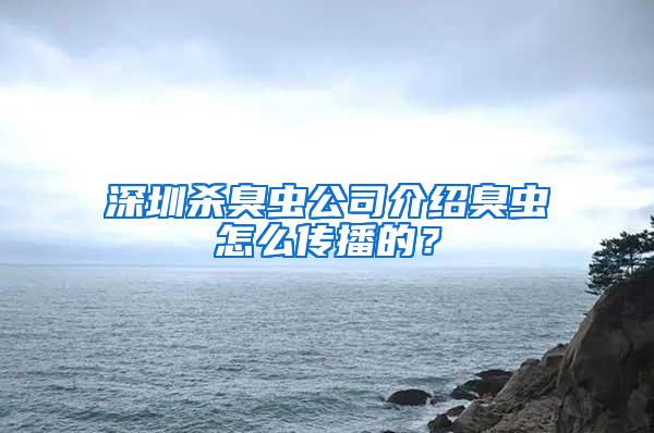 深圳殺臭蟲公司介紹臭蟲怎么傳播的？