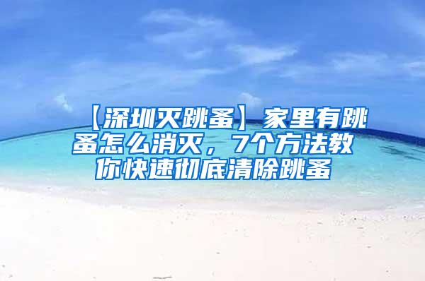 【深圳滅跳蚤】家里有跳蚤怎么消滅，7個方法教你快速徹底清除跳蚤