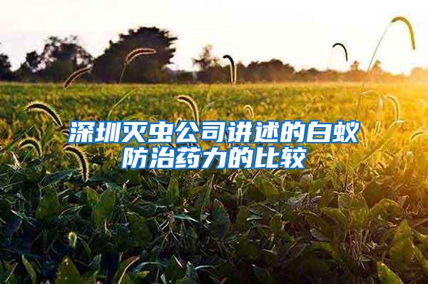 深圳滅蟲公司講述的白蟻防治藥力的比較