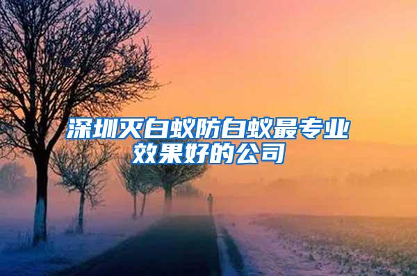 深圳滅白蟻防白蟻最專業效果好的公司