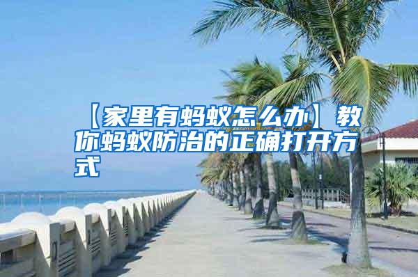 【家里有螞蟻怎么辦】教你螞蟻防治的正確打開方式