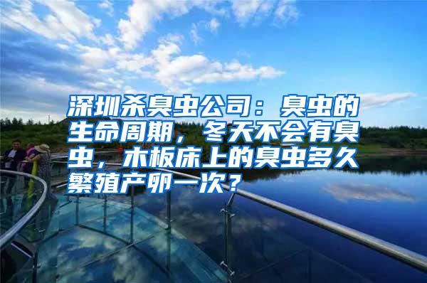 深圳殺臭蟲公司：臭蟲的生命周期，冬天不會有臭蟲，木板床上的臭蟲多久繁殖產卵一次？