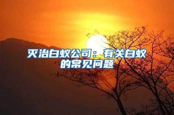 滅治白蟻公司：有關白蟻的常見問題