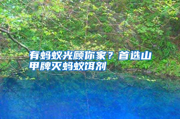 有螞蟻光顧你家？首選山甲牌滅螞蟻餌劑