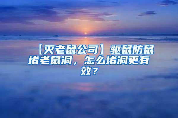 【滅老鼠公司】驅鼠防鼠堵老鼠洞，怎么堵洞更有效？