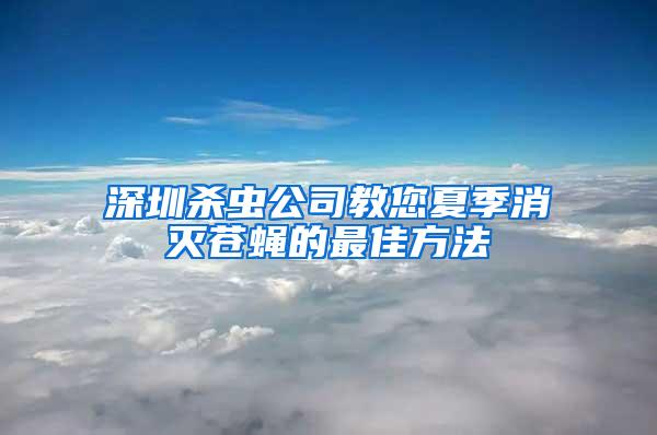 深圳殺蟲公司教您夏季消滅蒼蠅的最佳方法