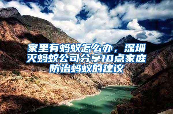 家里有螞蟻怎么辦，深圳滅螞蟻公司分享10點家庭防治螞蟻的建議