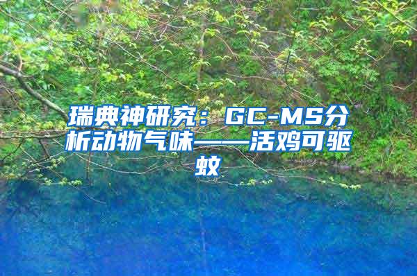 瑞典神研究：GC-MS分析動物氣味——活雞可驅蚊