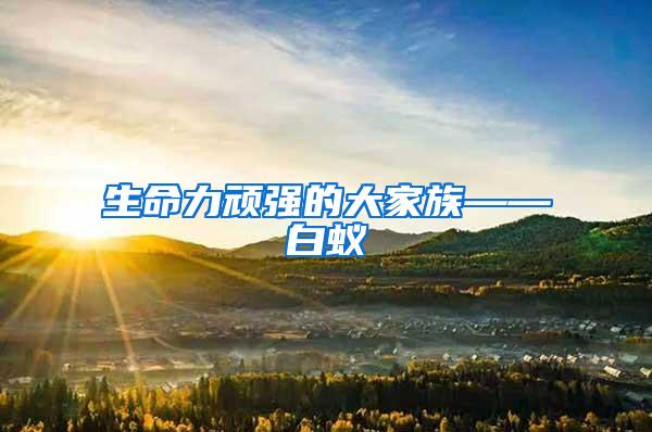 生命力頑強(qiáng)的大家族——白蟻