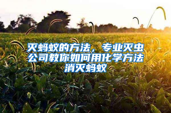 滅螞蟻的方法，專業(yè)滅蟲公司教你如何用化學(xué)方法消滅螞蟻