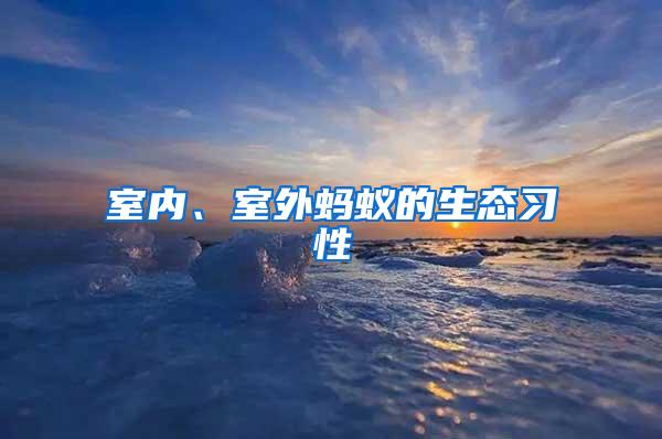 室內(nèi)、室外螞蟻的生態(tài)習(xí)性