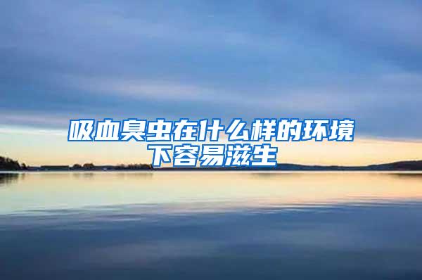 吸血臭蟲在什么樣的環境下容易滋生