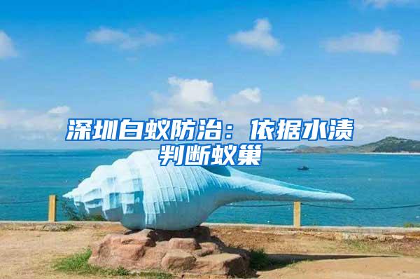 深圳白蟻防治：依據(jù)水漬判斷蟻巢