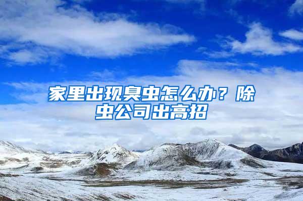 家里出現臭蟲怎么辦？除蟲公司出高招