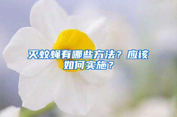 滅蚊蠅有哪些方法？應(yīng)該如何實施？