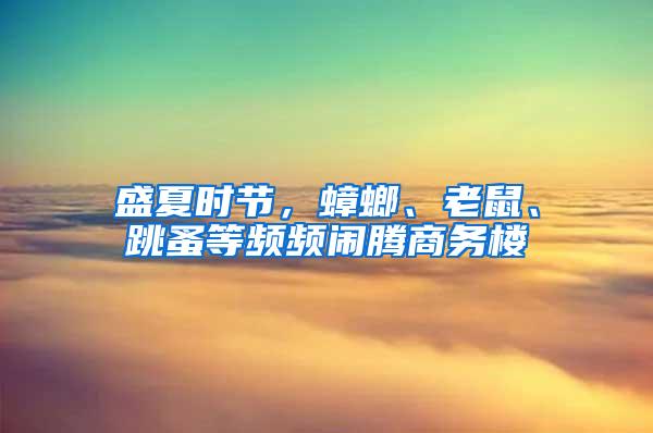 盛夏時節，蟑螂、老鼠、跳蚤等頻頻鬧騰商務樓