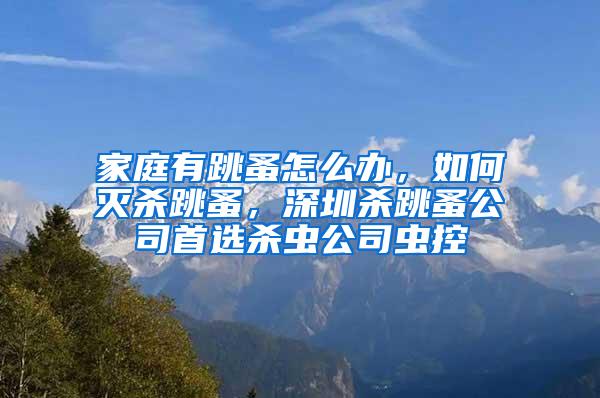 家庭有跳蚤怎么辦，如何滅殺跳蚤，深圳殺跳蚤公司首選殺蟲公司蟲控