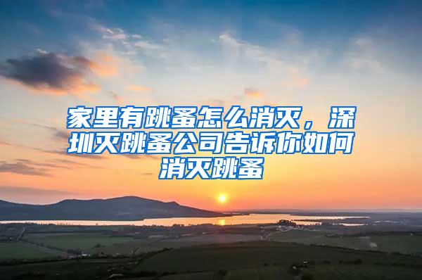 家里有跳蚤怎么消滅，深圳滅跳蚤公司告訴你如何消滅跳蚤