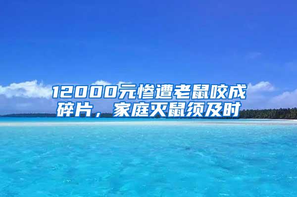 12000元慘遭老鼠咬成碎片，家庭滅鼠須及時