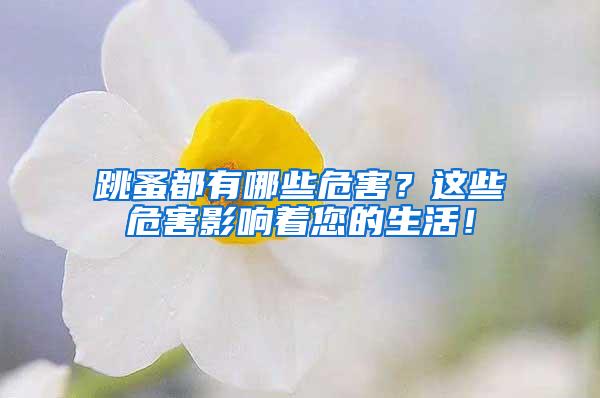 跳蚤都有哪些危害？這些危害影響著您的生活！