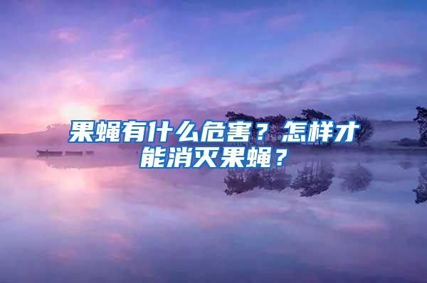 果蠅有什么危害？怎樣才能消滅果蠅？