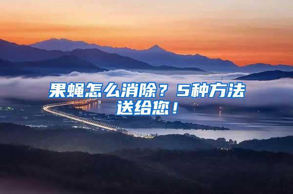 果蠅怎么消除？5種方法送給您！