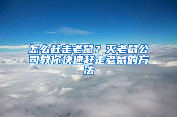 怎么趕走老鼠？滅老鼠公司教你快速趕走老鼠的方法