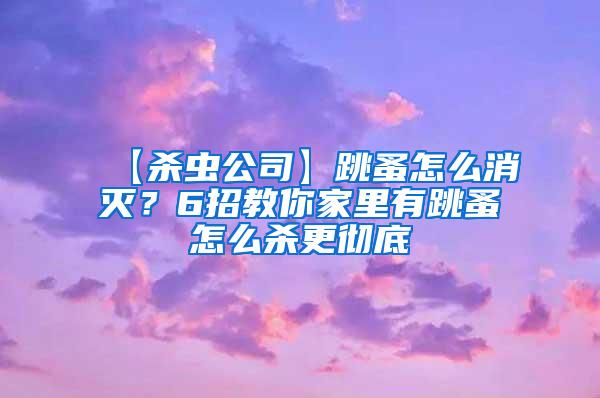 【殺蟲公司】跳蚤怎么消滅？6招教你家里有跳蚤怎么殺更徹底