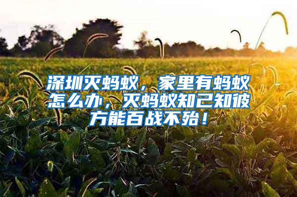 深圳滅螞蟻，家里有螞蟻怎么辦，滅螞蟻知己知彼方能百戰不殆！