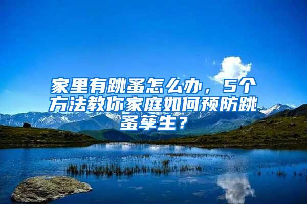 家里有跳蚤怎么辦，5個方法教你家庭如何預防跳蚤孳生？