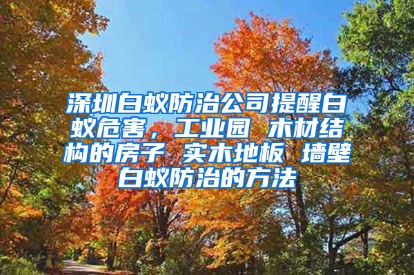 深圳白蟻防治公司提醒白蟻危害，工業園 木材結構的房子 實木地板 墻壁白蟻防治的方法