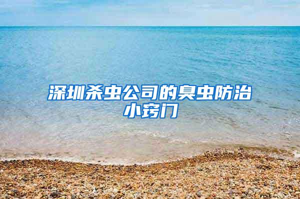 深圳殺蟲公司的臭蟲防治小竅門