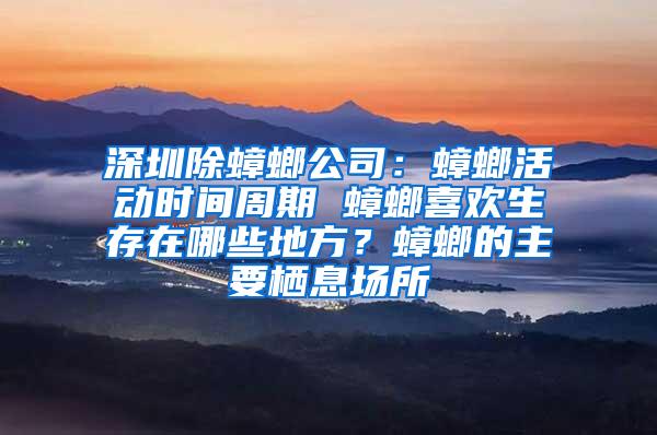 深圳除蟑螂公司：蟑螂活動時間周期 蟑螂喜歡生存在哪些地方？蟑螂的主要棲息場所