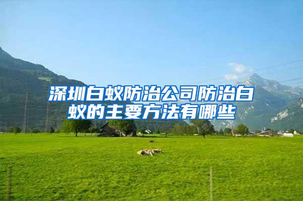 深圳白蟻防治公司防治白蟻的主要方法有哪些