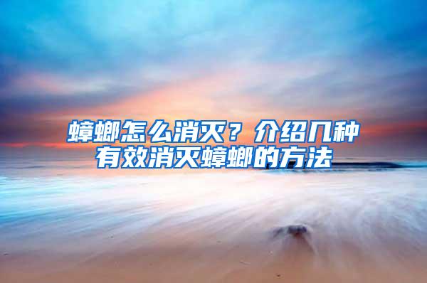 蟑螂怎么消滅？介紹幾種有效消滅蟑螂的方法